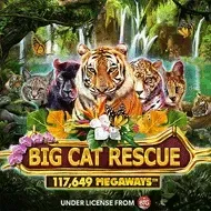 Big Cat Rescue MegaWaysRedtiger game thumbnail