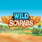 Wild Scarabs